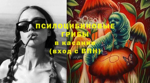 бутират Каменка
