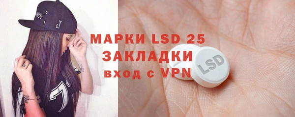 ПСИЛОЦИБИНОВЫЕ ГРИБЫ Каменногорск