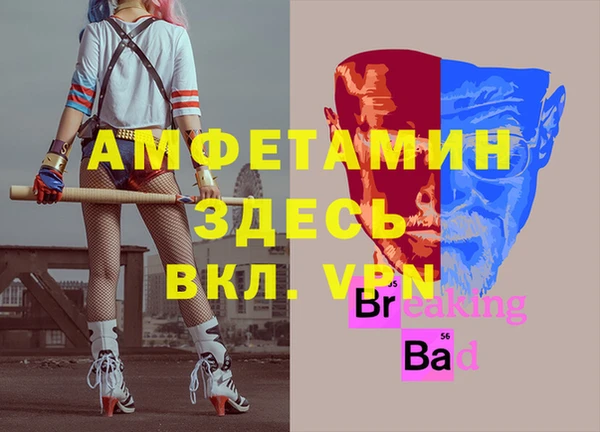 ПСИЛОЦИБИНОВЫЕ ГРИБЫ Каменногорск