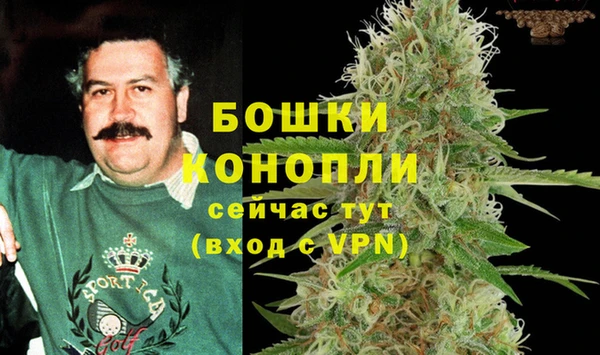 ПСИЛОЦИБИНОВЫЕ ГРИБЫ Каменногорск