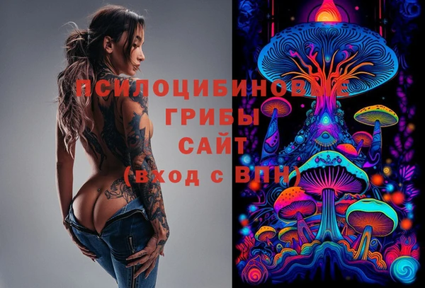 дживик Касимов